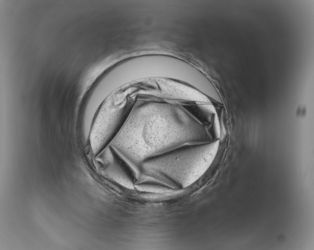 X0000110880248200907161509