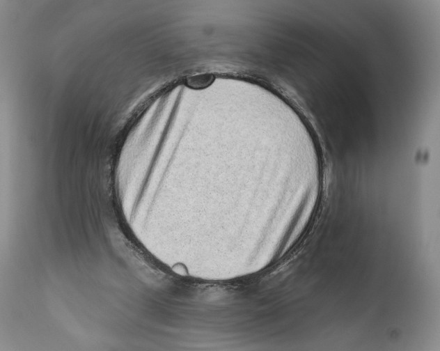 X0000110880249200907161509