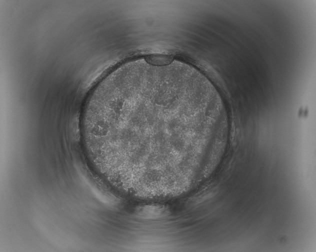 X0000110880251200907161509