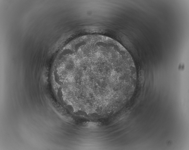 X0000110880255200907161509