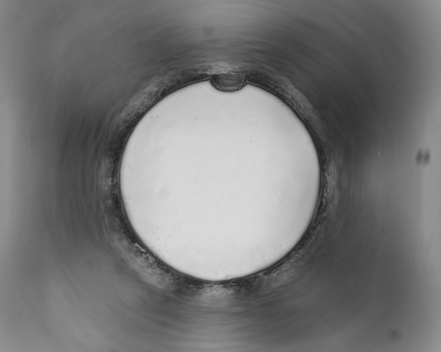 X0000110880257200907161509