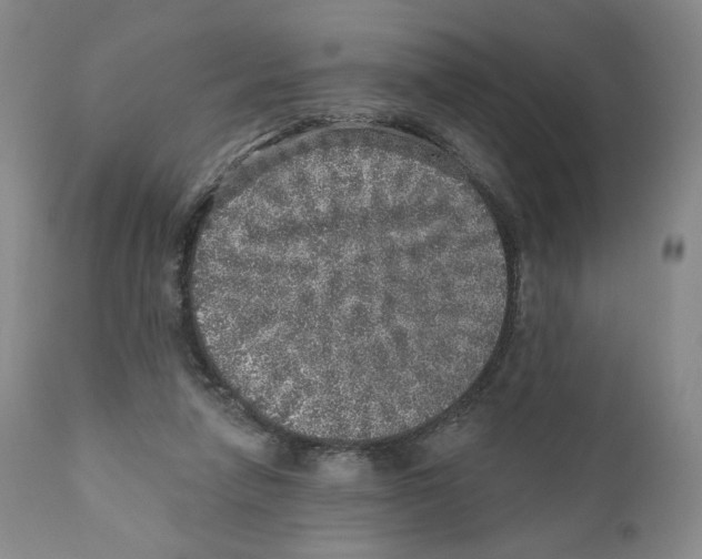 X0000110880258200907161509