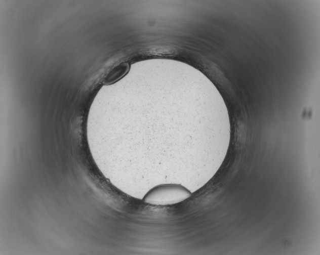 X0000110880260200907161509