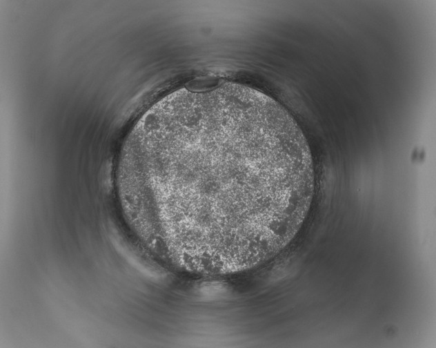 X0000110880262200907161509