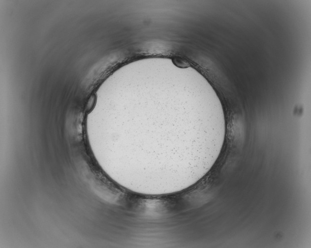 X0000110880264200907161509