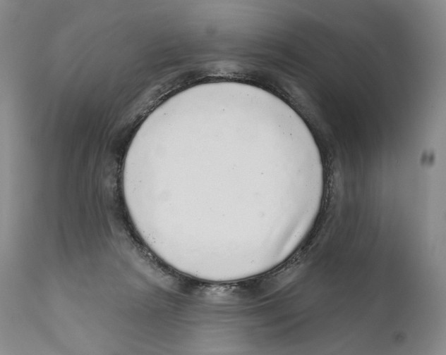 X0000110880265200907161509