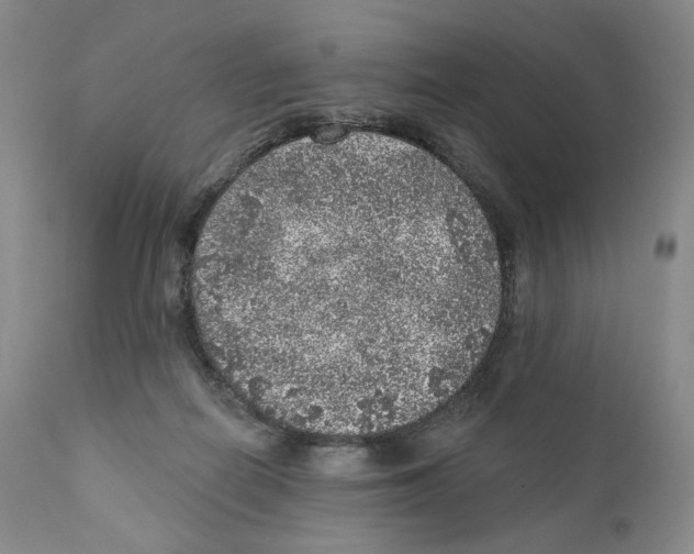 X0000110880266200907161509