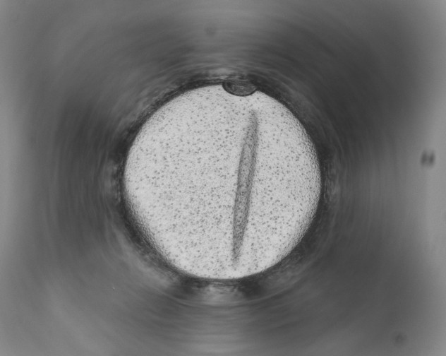 X0000110880270200907161509