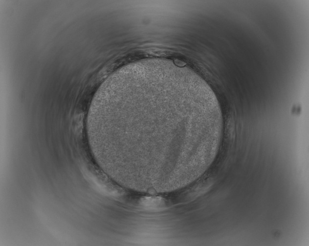 X0000110880271200907161509