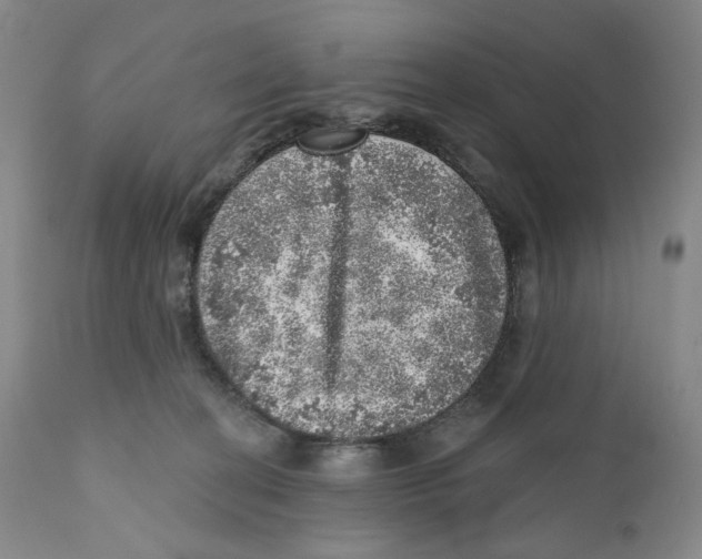 X0000110880274200907161509