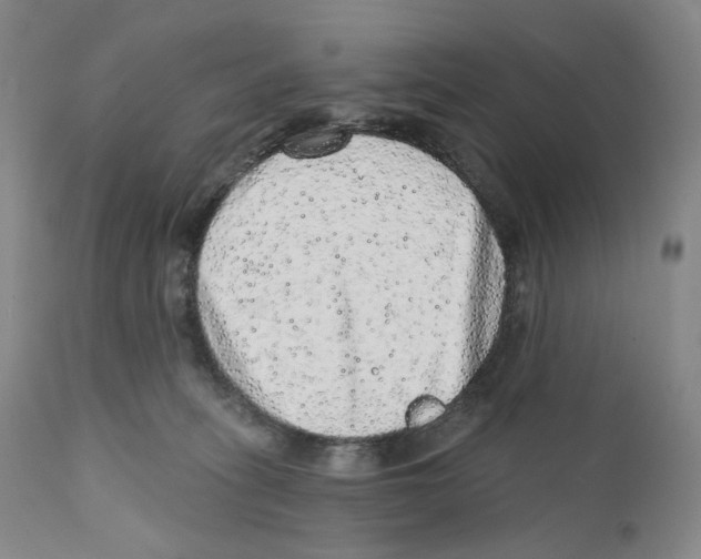 X0000110880275200907161509