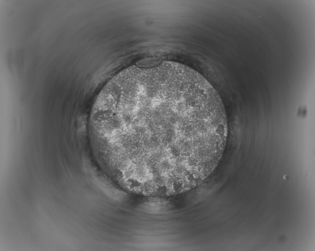 X0000110880278200907161509