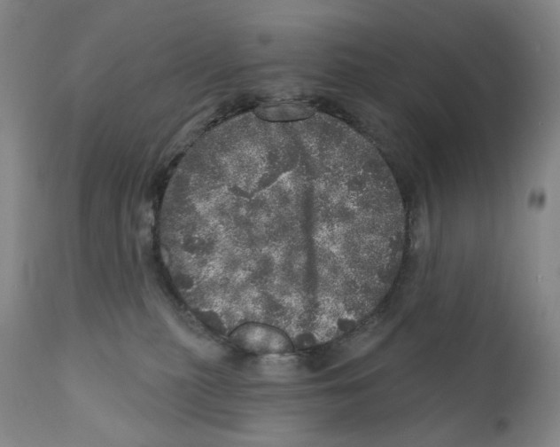 X0000110880279200907161509