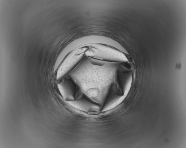 X0000110880280200907161509