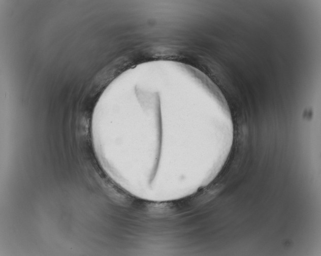 X0000110880281200907161509