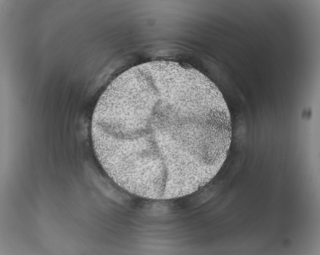 X0000110880282200907161509