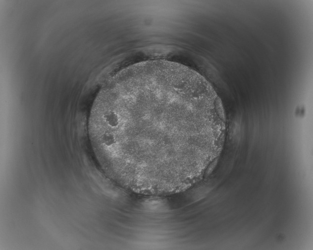 X0000110880283200907161509