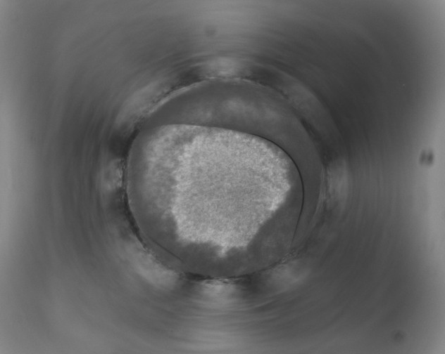 X0000110880284200907161509