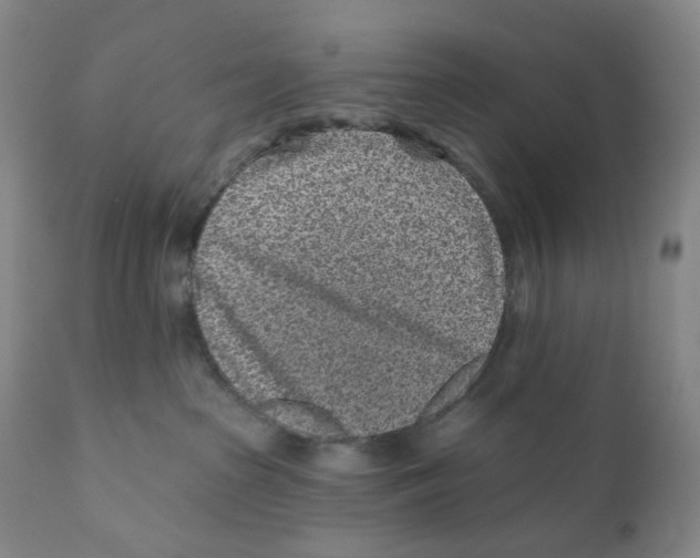 X0000110880285200907161509