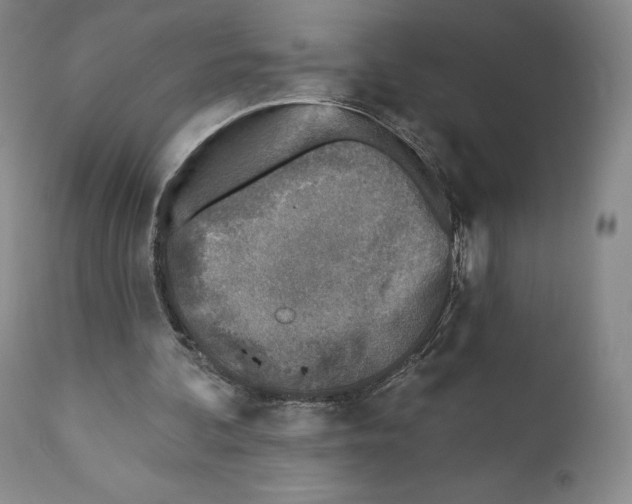 X0000110880292200907161509