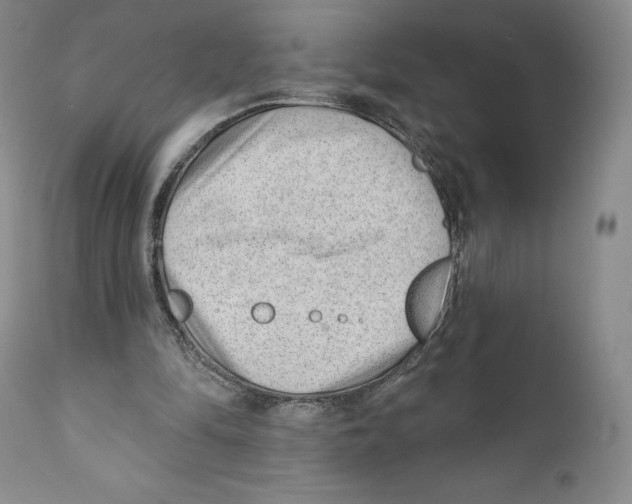 X0000110880294200907161509