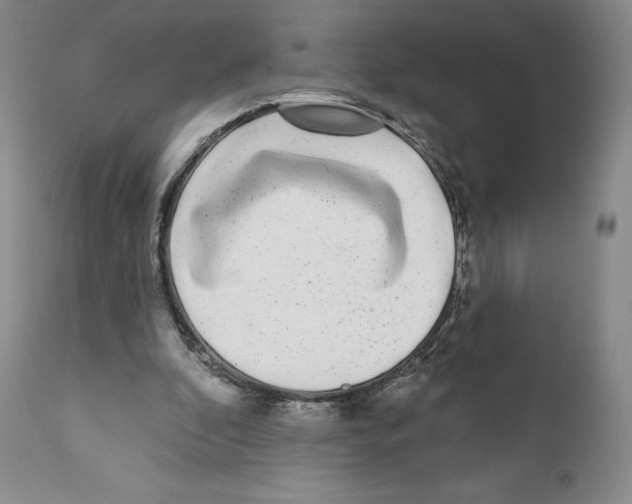 X0000110880296200907161509