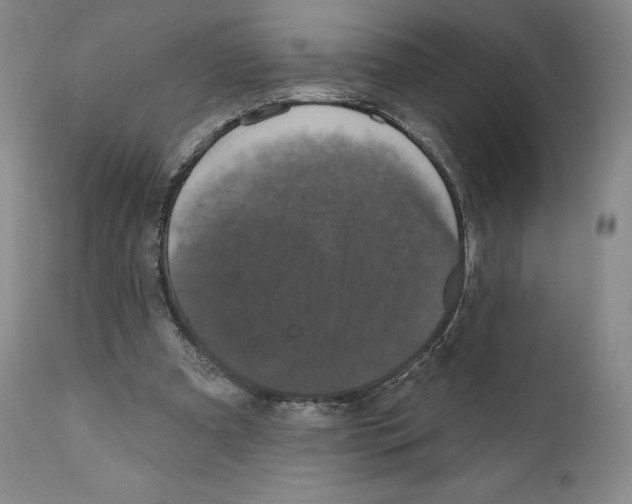 X0000110880297200907161508