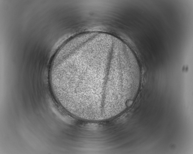 X0000110880298200907161508