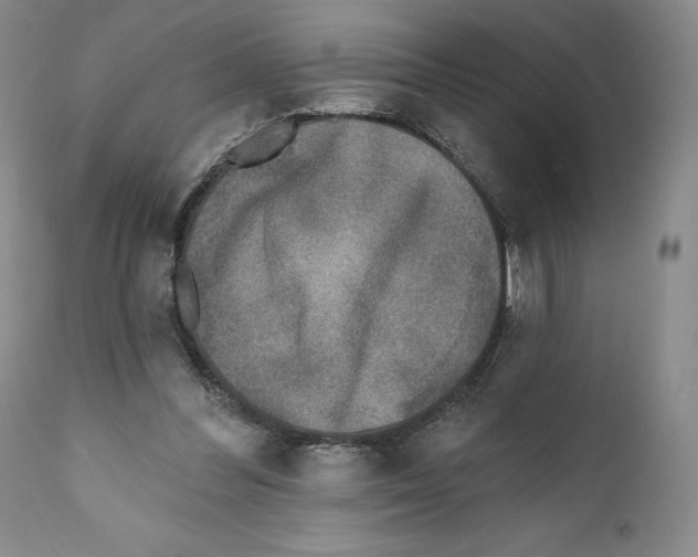 X0000110880300200907161508