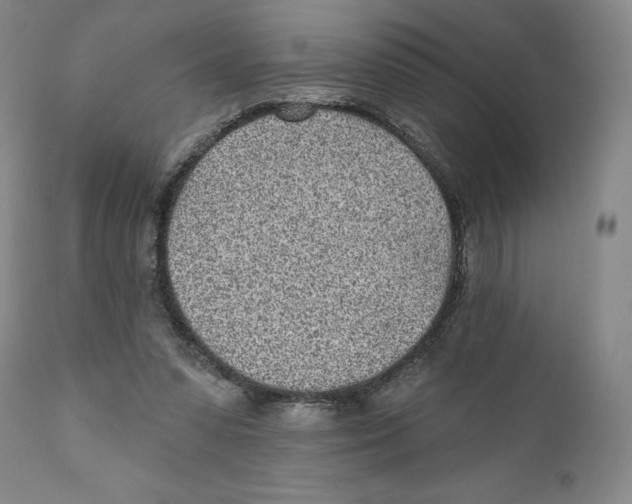 X0000110880303200907161508