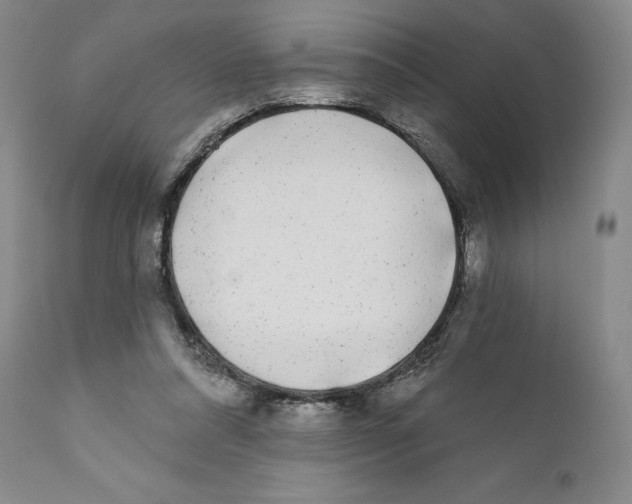 X0000110880304200907161508