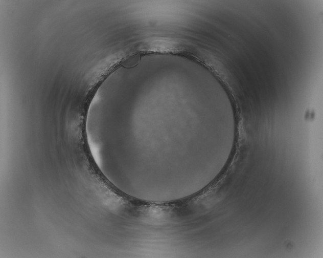 X0000110880305200907161508