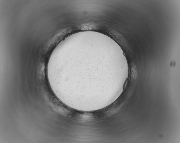 X0000110880308200907161508