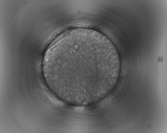 X0000110880309200907161508