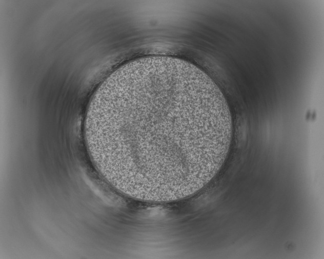 X0000110880310200907161508