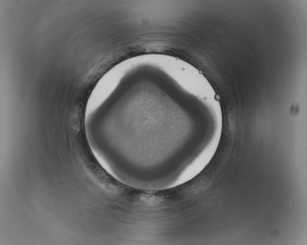 X0000110880311200907161508