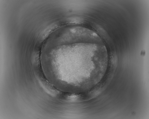 X0000110880312200907161508