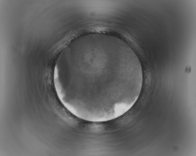 X0000110880313200907161508