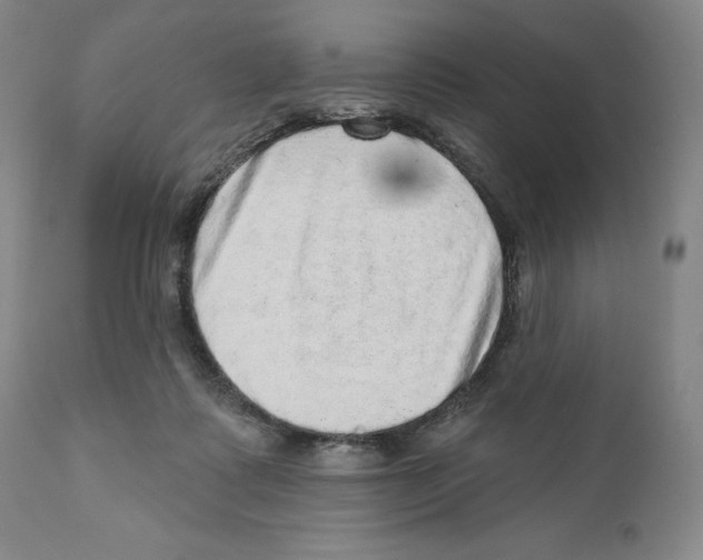 X0000110880315200907161508