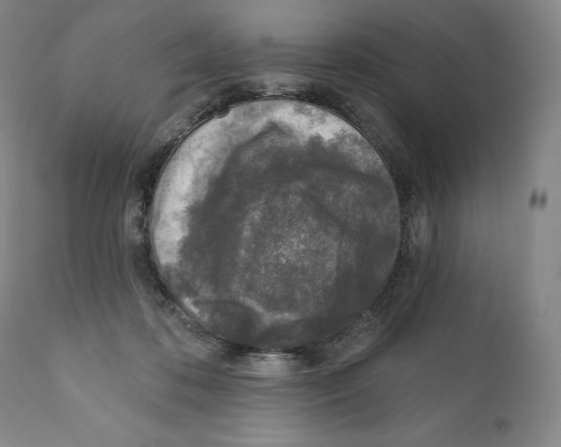 X0000110880316200907161508