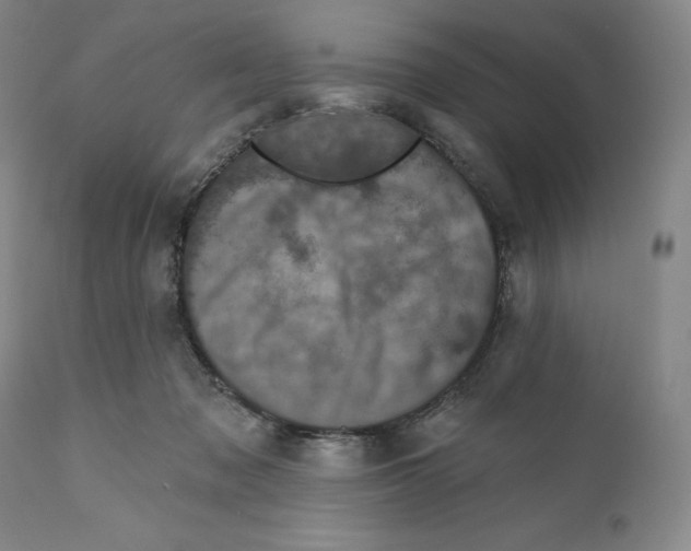 X0000110880317200907161508