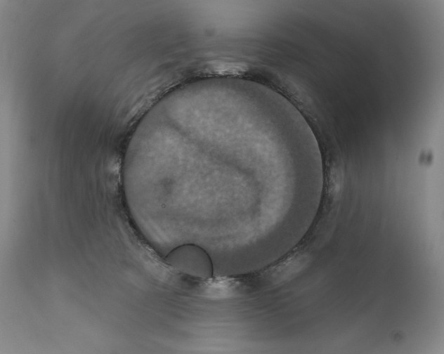 X0000110880321200907161508