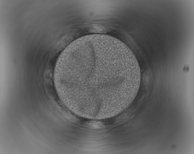 X0000110880322200907161508