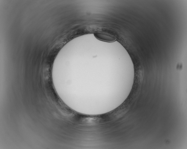 X0000110880323200907161508