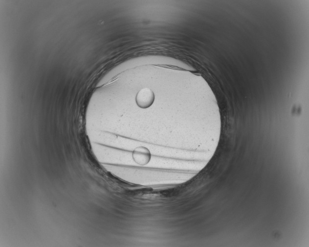 X0000110880324200907161508