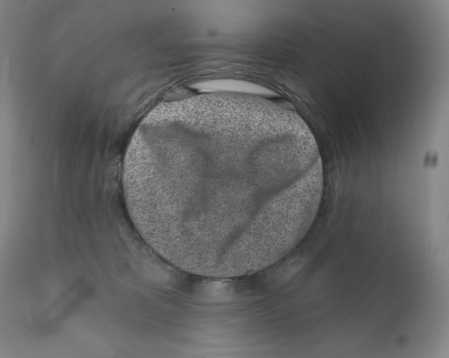 X0000110880325200907161508