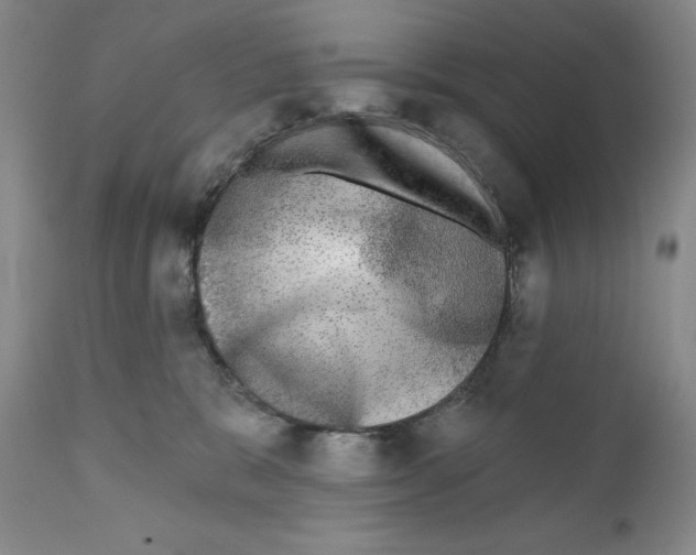 X0000110880327200907161508