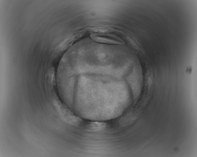 X0000110880328200907161508