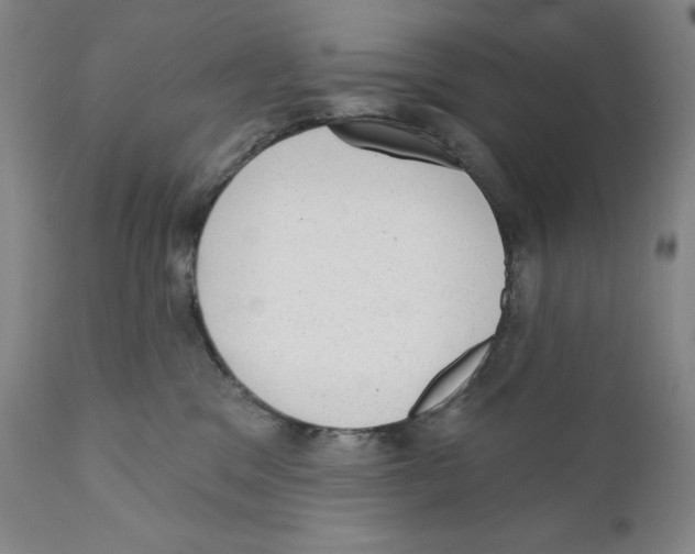 X0000110880329200907161508