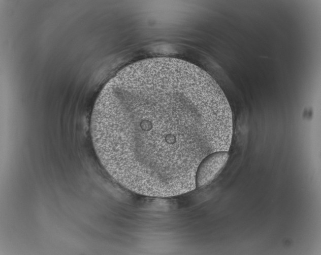 X0000110880330200907161508